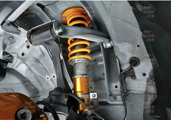 Nismo Factory Line Sports Suspension Kit - Skyline GT-R BNR34